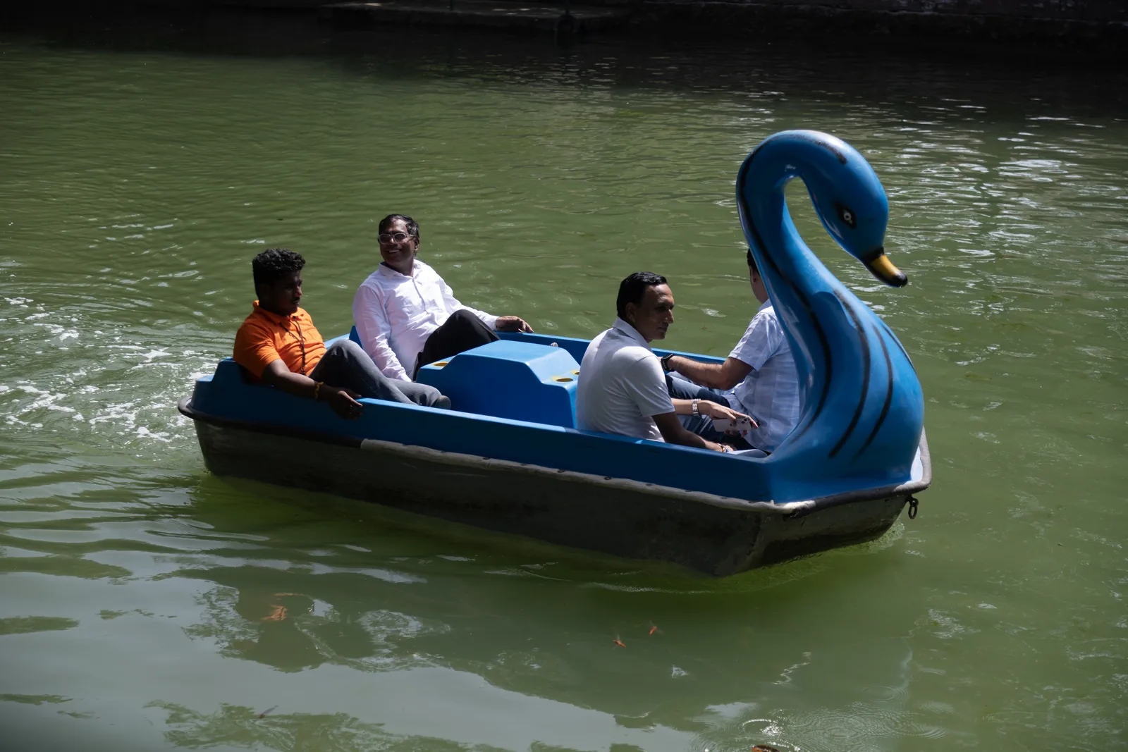 Four guests pedalling a blue swan-shaped pedal boat across the farm's lake
