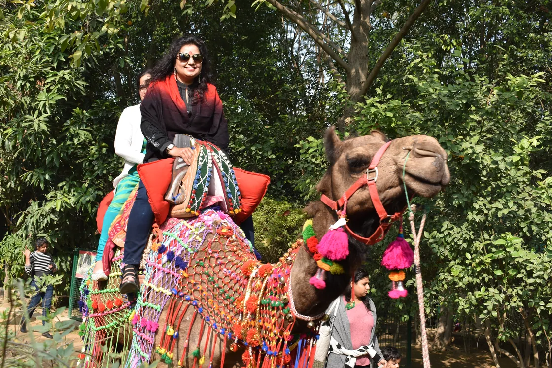 Two women riding a camel draped in a bright patterned saddle cloth and pink tassels